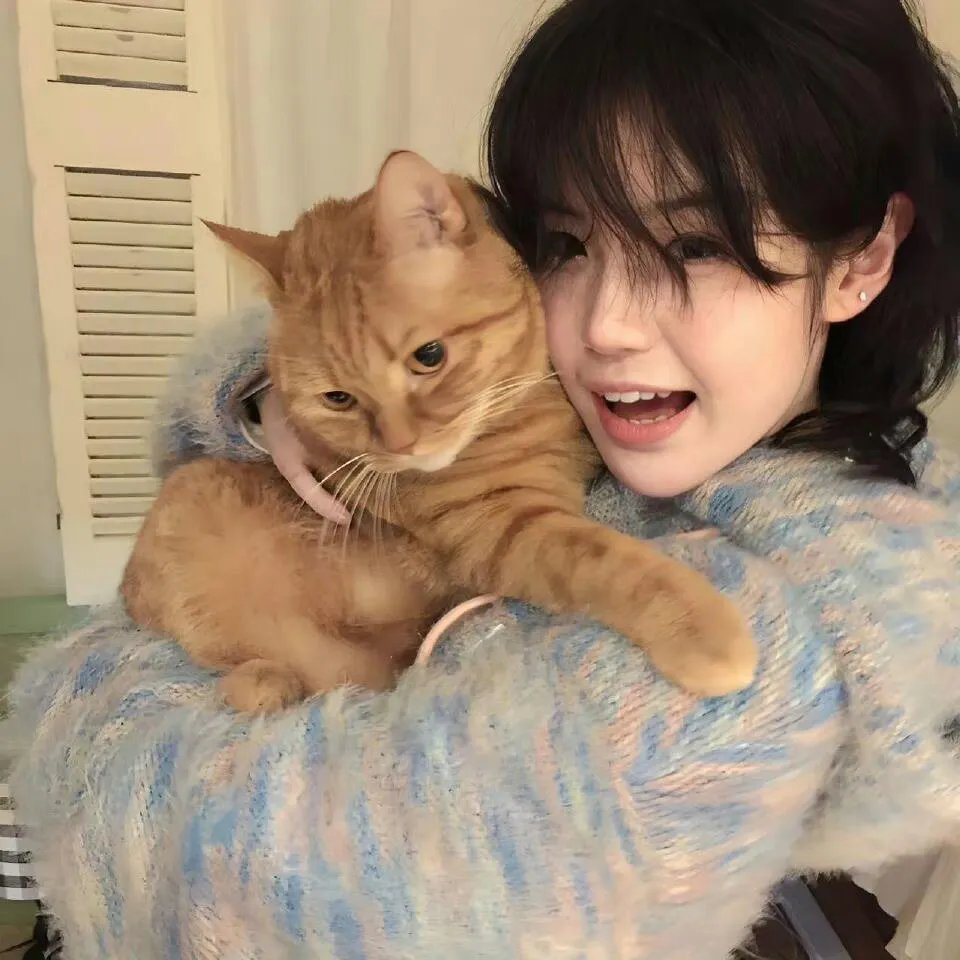 我的街区第三季